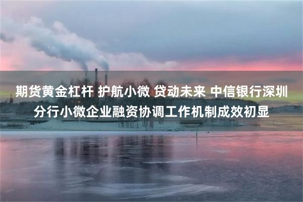 期货黄金杠杆 护航小微 贷动未来 中信银行深圳分行小微企业融资协调工作机制成效初显