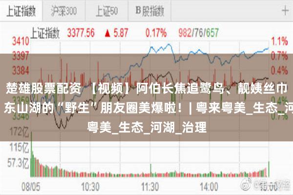 楚雄股票配资 【视频】阿伯长焦追鹭鸟、靓姨丝巾卷春风，东山湖的“野生”朋友圈美爆啦！| 粤来粤美_生态_河湖_治理