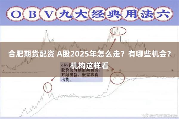 合肥期货配资 A股2025年怎么走？有哪些机会？机构这样看