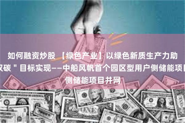 如何融资炒股 【绿色产业】以绿色新质生产力助推＂双碳＂目标实现——中船风帆首个园区型用户侧储能项目并网