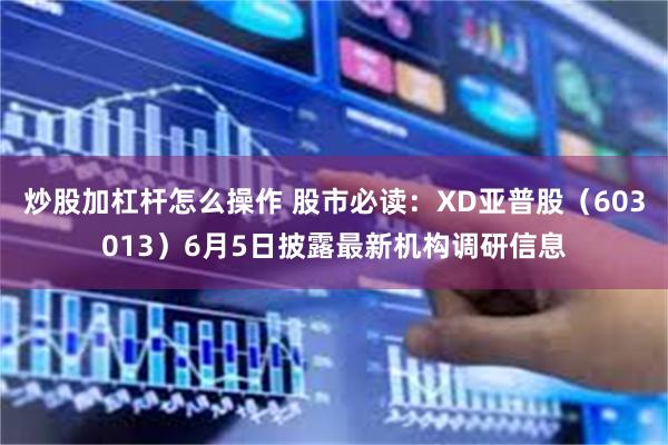 炒股加杠杆怎么操作 股市必读：XD亚普股（603013）6月5日披露最新机构调研信息