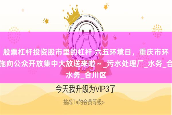 股票杠杆投资股市里的杠杆 六五环境日，重庆市环保设施向公众开放集中大放送来啦～_污水处理厂_水务_合川区