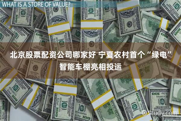 北京股票配资公司哪家好 宁夏农村首个“绿电”智能车棚亮相投运