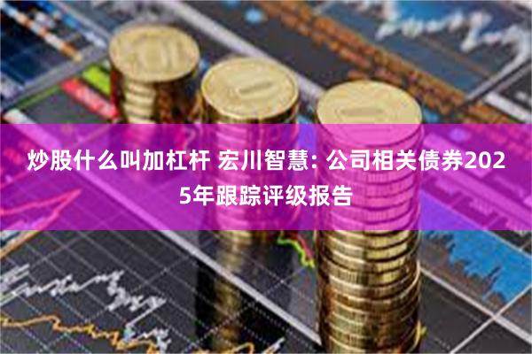 炒股什么叫加杠杆 宏川智慧: 公司相关债券2025年跟踪评级报告