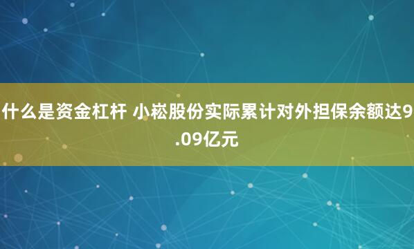什么是资金杠杆 小崧股份实际累计对外担保余额达9.09亿元