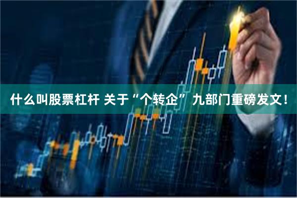 什么叫股票杠杆 关于“个转企” 九部门重磅发文！