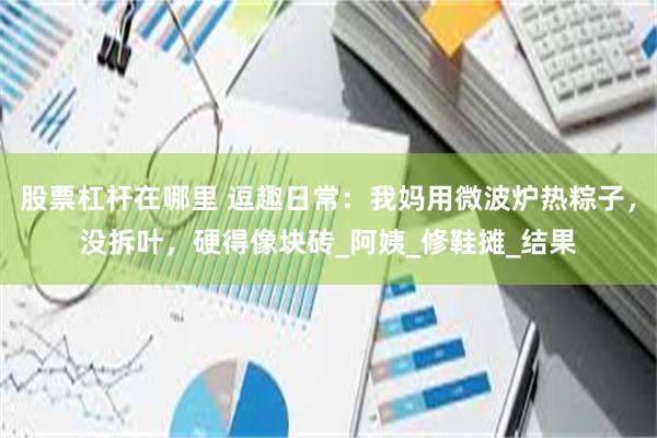 股票杠杆在哪里 逗趣日常：我妈用微波炉热粽子，没拆叶，硬得像块砖_阿姨_修鞋摊_结果