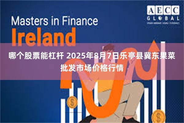 哪个股票能杠杆 2025年8月7日乐亭县冀东果菜批发市场价格行情