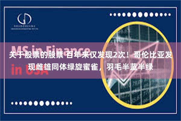 关于股票的股票 百年来仅发现2次！哥伦比亚发现雌雄同体绿旋蜜雀，羽毛半蓝半绿