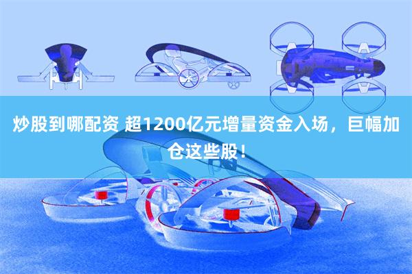 炒股到哪配资 超1200亿元增量资金入场，巨幅加仓这些股！